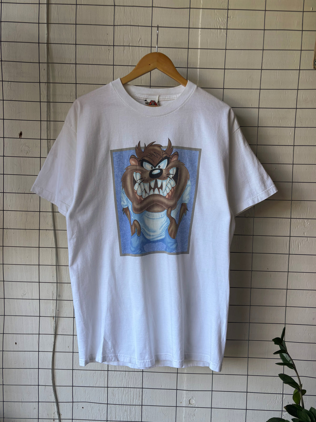 1990s Taz Tee