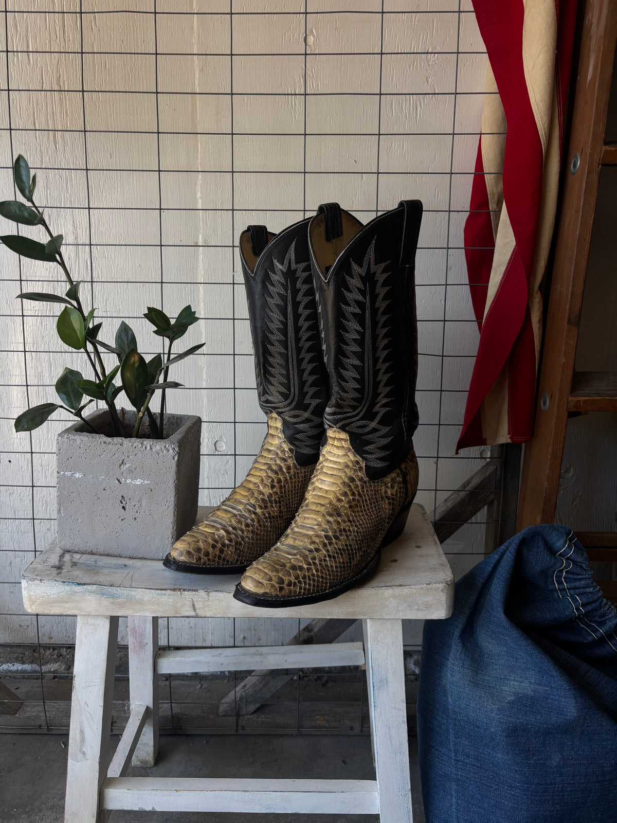 1980s Snakeskin Cowboy Boots